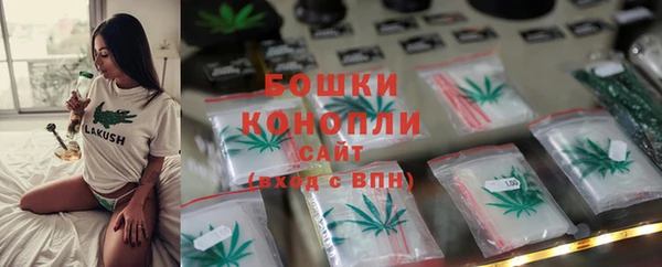 ПСИЛОЦИБИНОВЫЕ ГРИБЫ Балахна