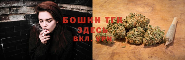 ПСИЛОЦИБИНОВЫЕ ГРИБЫ Балахна