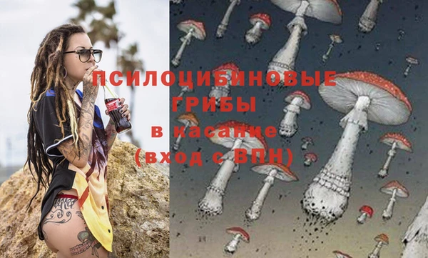 ПСИЛОЦИБИНОВЫЕ ГРИБЫ Балахна