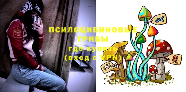 ПСИЛОЦИБИНОВЫЕ ГРИБЫ Балахна