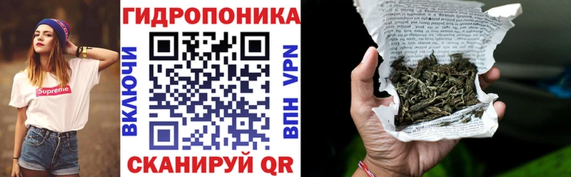 Бошки марихуана SATIVA & INDICA  сколько стоит  Любим 